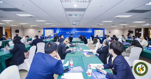 进博会观察｜行云集团Billy受邀出席2020跨境电商与贸易数字化论坛，共探国际贸易新未来